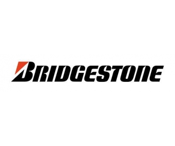 BRIDGESTONE (Puente San Miguel - Cantabria)